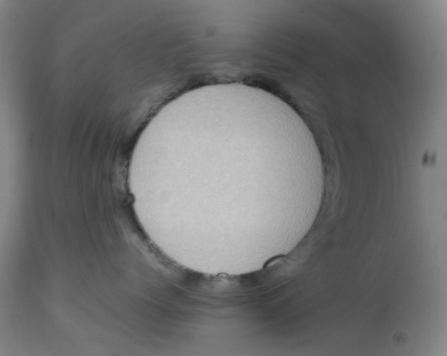 X0000112490768200909071221