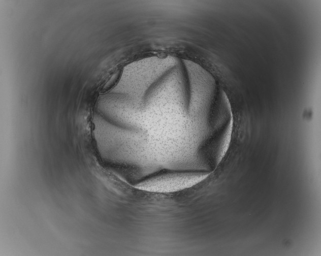 X0000112490770200909071220