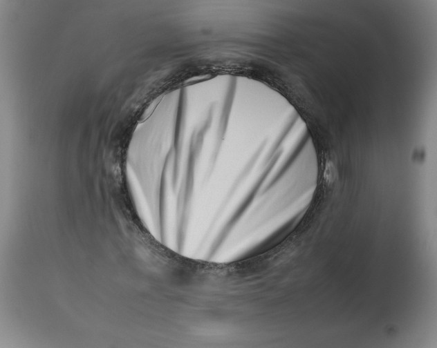 X0000112490771200909071220