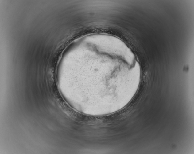 X0000112490772200909071220