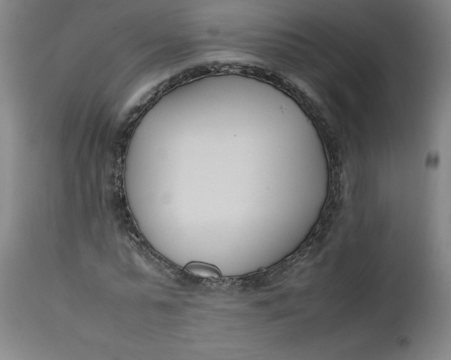 X0000112490775200909071220