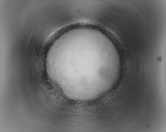X0000112490776200909071220