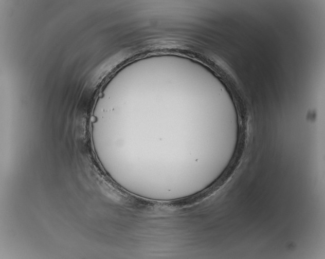 X0000112490777200909071220