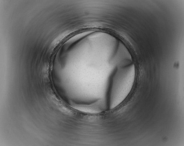 X0000112490778200909071220