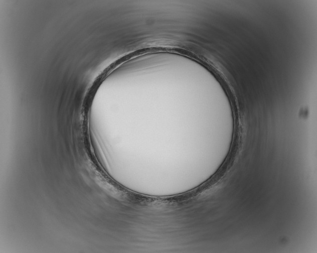 X0000112490779200909071220