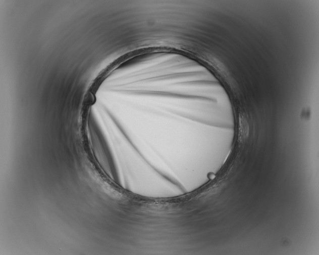 X0000112490780200909071220