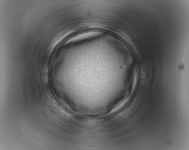 X0000112490782200909071220
