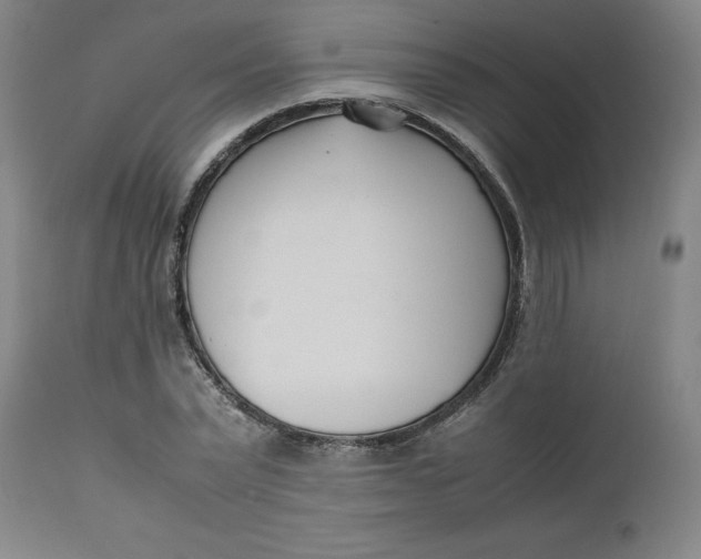 X0000112490783200909071220