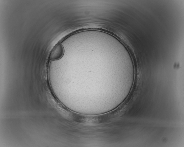 X0000112490789200909071220
