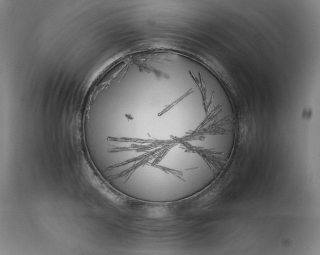 X0000112490798200909071220