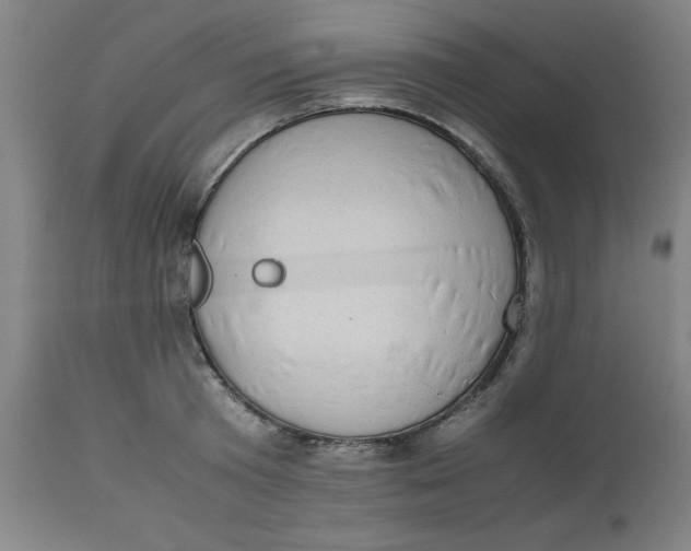 X0000112490801200909071220