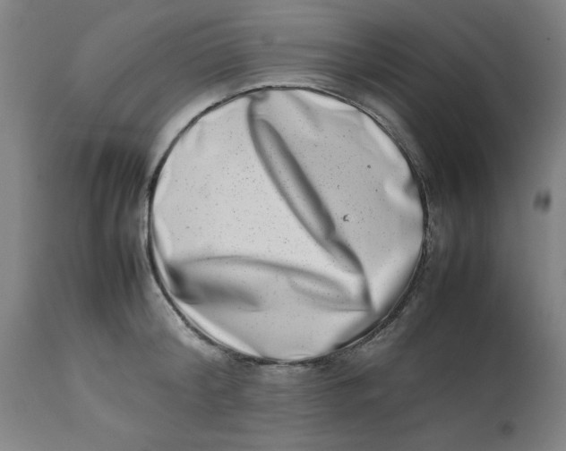 X0000112490804200909071220
