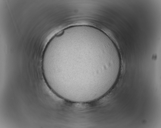X0000112490805200909071220