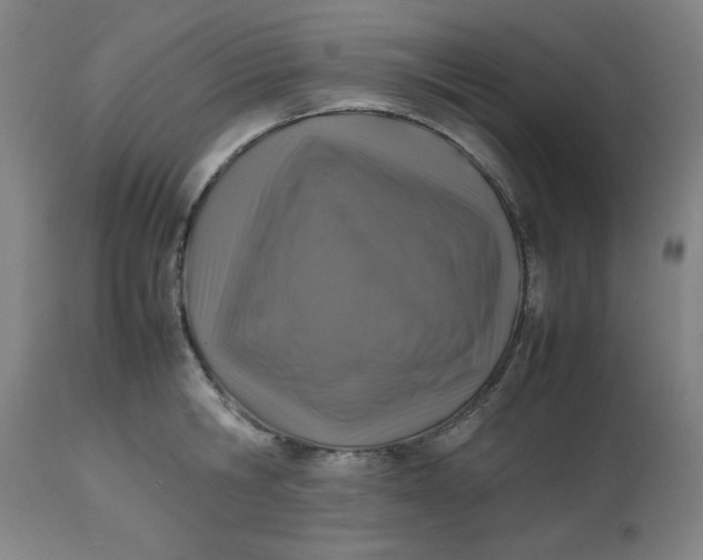 X0000112490806200909071220