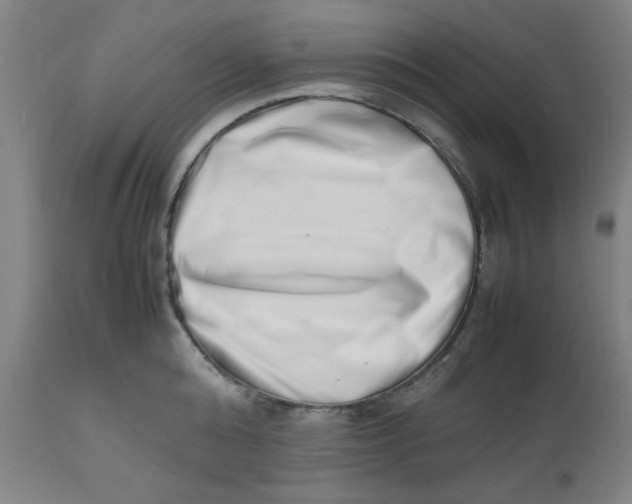 X0000112490808200909071220