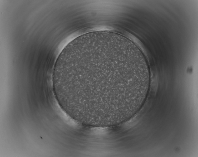 X0000112490810200909071219