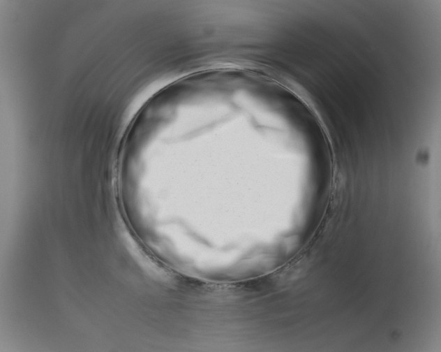 X0000112490811200909071219