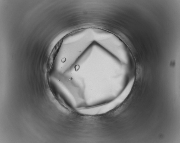 X0000112490812200909071219