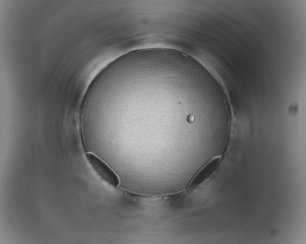 X0000112490813200909071219