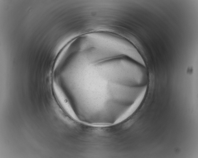 X0000112490814200909071219