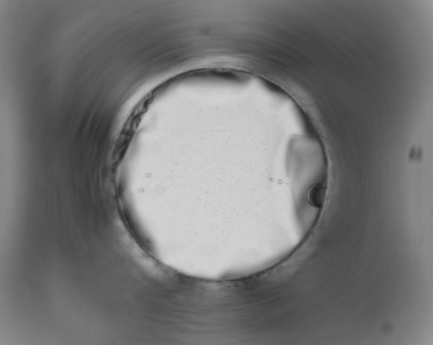 X0000112490816200909071219