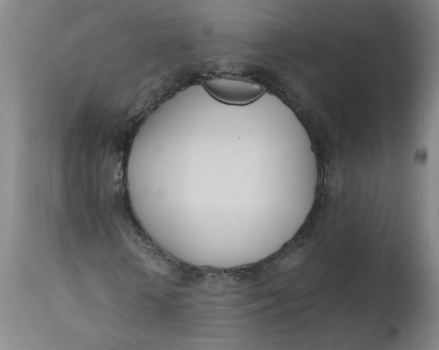 X0000112490818200909071219