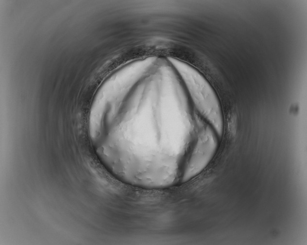 X0000112490819200909071219