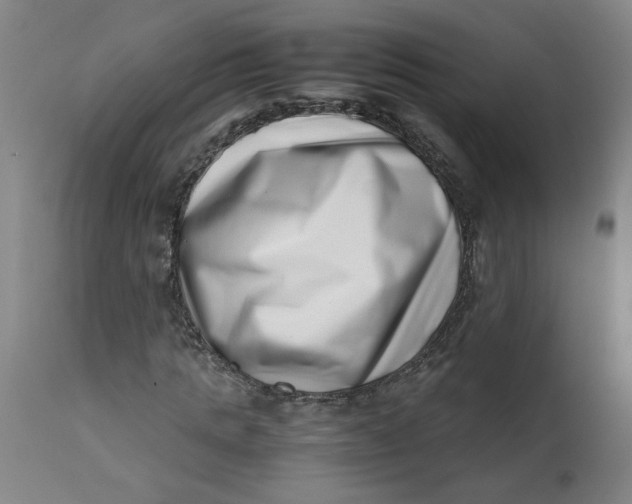 X0000112490821200909071219