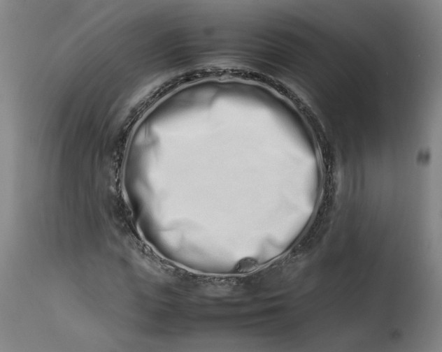 X0000112490823200909071219