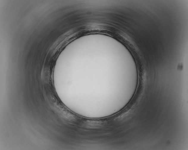 X0000112490825200909071219