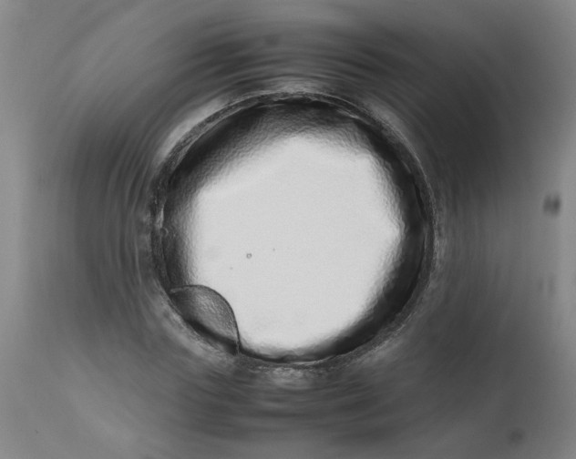 X0000112490827200909071219