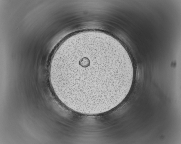 X0000112490828200909071219