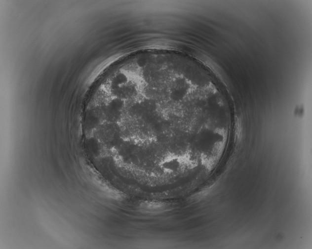 X0000112490829200909071219