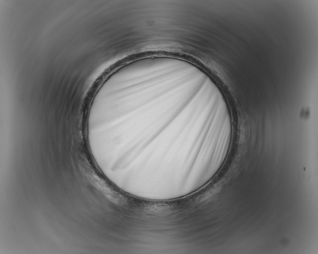 X0000112490830200909071219