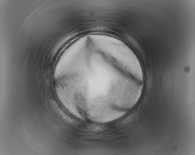 X0000112490831200909071219