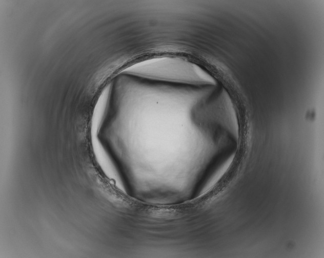 X0000112490833200909071219