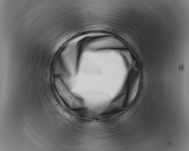 X0000112490834200909071219