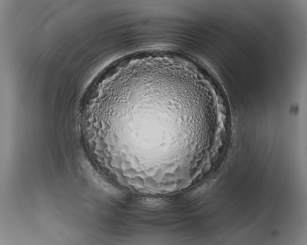 X0000112490835200909071219