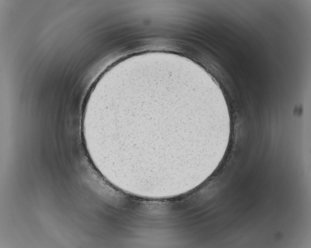 X0000112490836200909071219