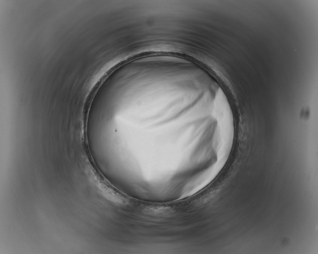 X0000112490837200909071219