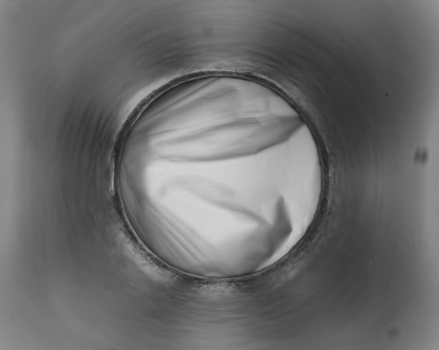 X0000112490838200909071219