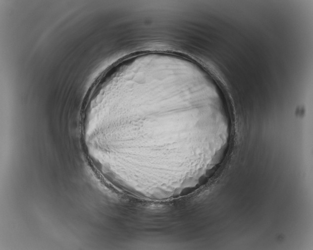 X0000112490839200909071219