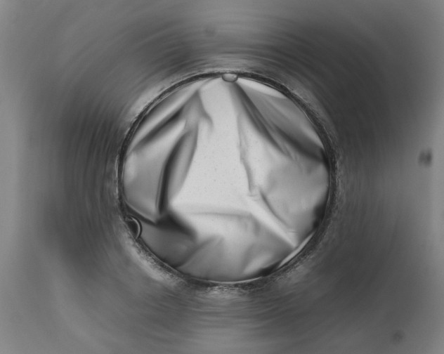 X0000112490842200909071219