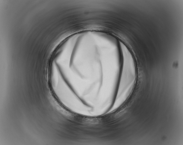 X0000112490843200909071219