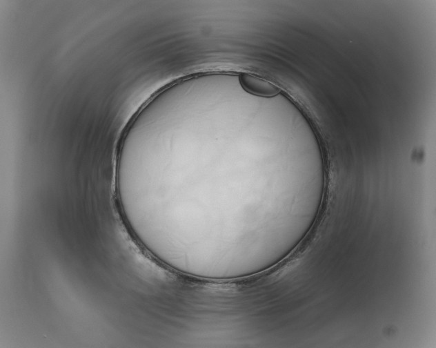 X0000112490844200909071219