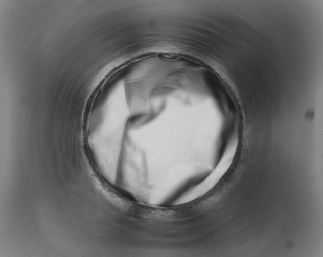 X0000112490845200909071219