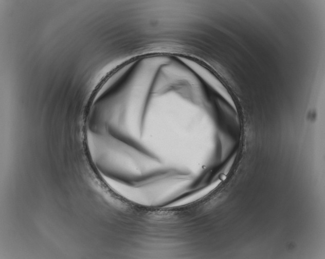 X0000112490846200909071219