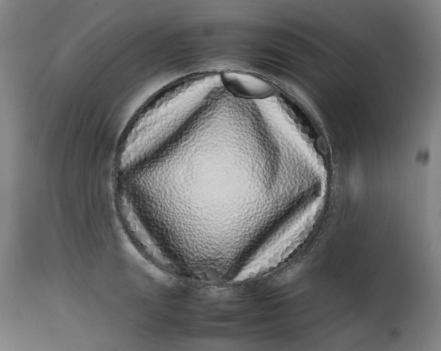 X0000112490847200909071219