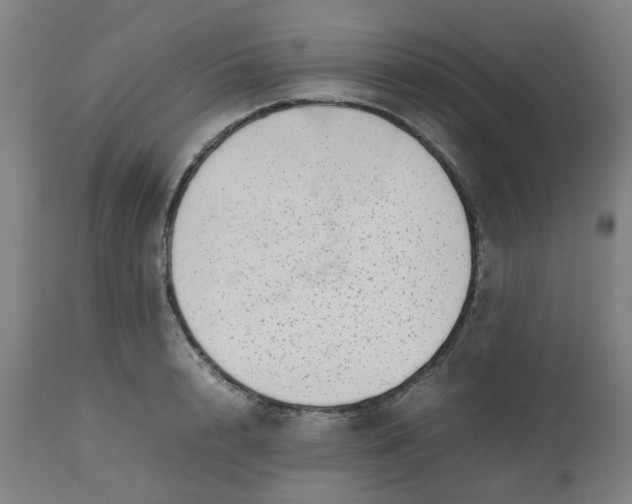 X0000112490848200909071219