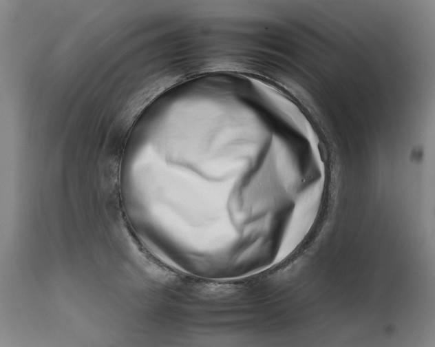 X0000112490849200909071219